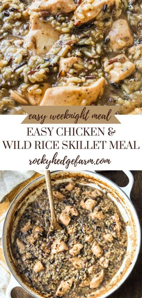 Chicken and Wild Rice Skillet, with a rich, creamy sauce, tender chicken, and nutty wild rice in a white enamel cast iron pan.