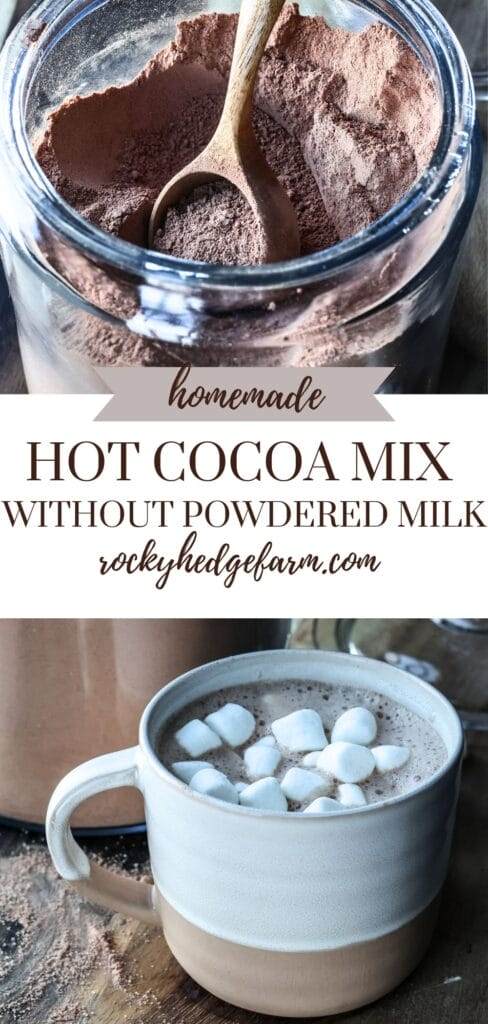 homemade hot cocoa mix